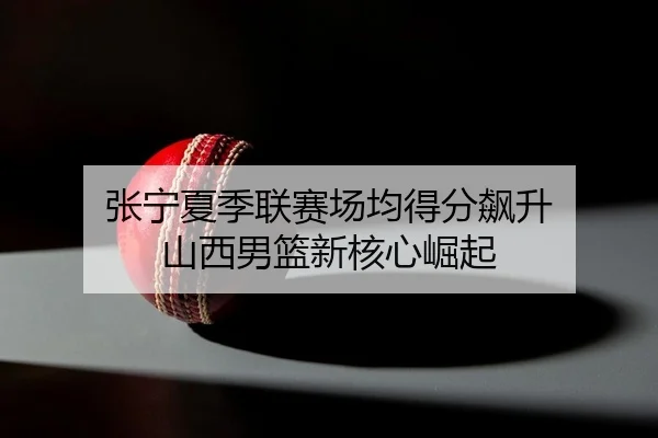 zhang-ning-xia-ji-lian-sai-chang-jun-de-fen-biao-sheng-shan-xi-nan-lan-xin-he-xin-jue-qi-2-442.jpg